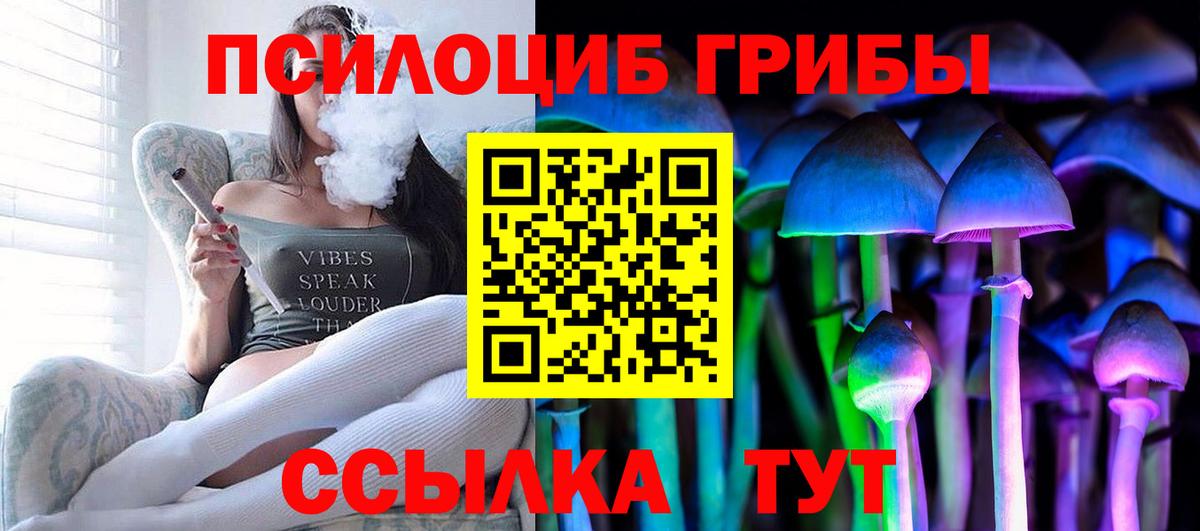 Псилоцибиновые грибы ЛСД Камень-на-Оби